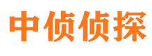 曲麻莱私人侦探